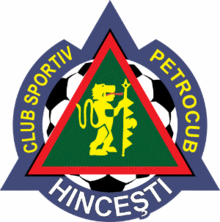 FC Petrocub Hincesti Fussball