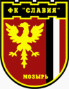 Slavia Mozyr Fussball
