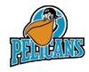 Pelicans Lahti Eishockey