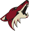 Arizona Coyotes Eishockey