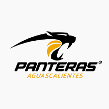 Panteras Aguascalientes Basketball