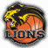 BK Lions J. Hradec Basketball