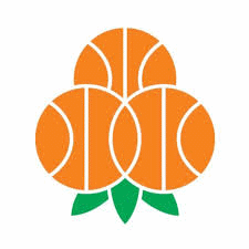 Umea BSKT Basketball