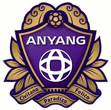 FC Anyang Fussball