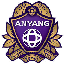 FC Anyang Fussball