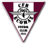 CFR 1907 Cluj Fussball