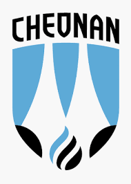 Cheonan City Fussball