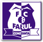 Farul Constanta Fussball