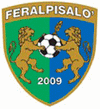 FeralpiSalo Fussball
