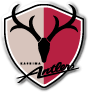 Kashima Antlers Fussball