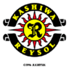 Kashiwa Reysol Fussball