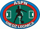 Miedz Legnica Fussball