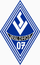 SV Waldhof Mannheim Fussball