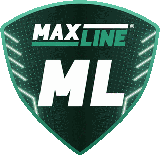 FC Maxline Vitebsk Fussball