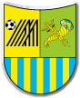 Metalist Kharkiv Fussball