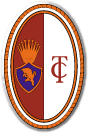 FC Torino Fussball