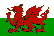 Wales Fussball