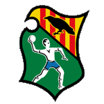 Fraikin BM Granollers Handball