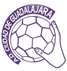 BM Guadalajara Handball