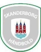 Skanderborg Handball