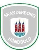 Skanderborg Kézilabda