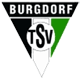 TSV Burgdorf Handball