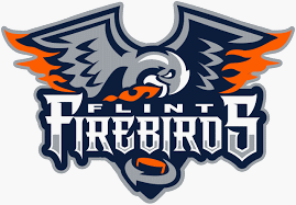 Flint Firebirds 曲棍球