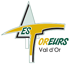 Val-d'Or Foreurs 曲棍球