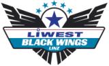Black Wings Linz Eishockey