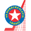Horácká Slavia Třebíč Eishockey