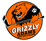 Grizzly Wolfsburg Eishockey